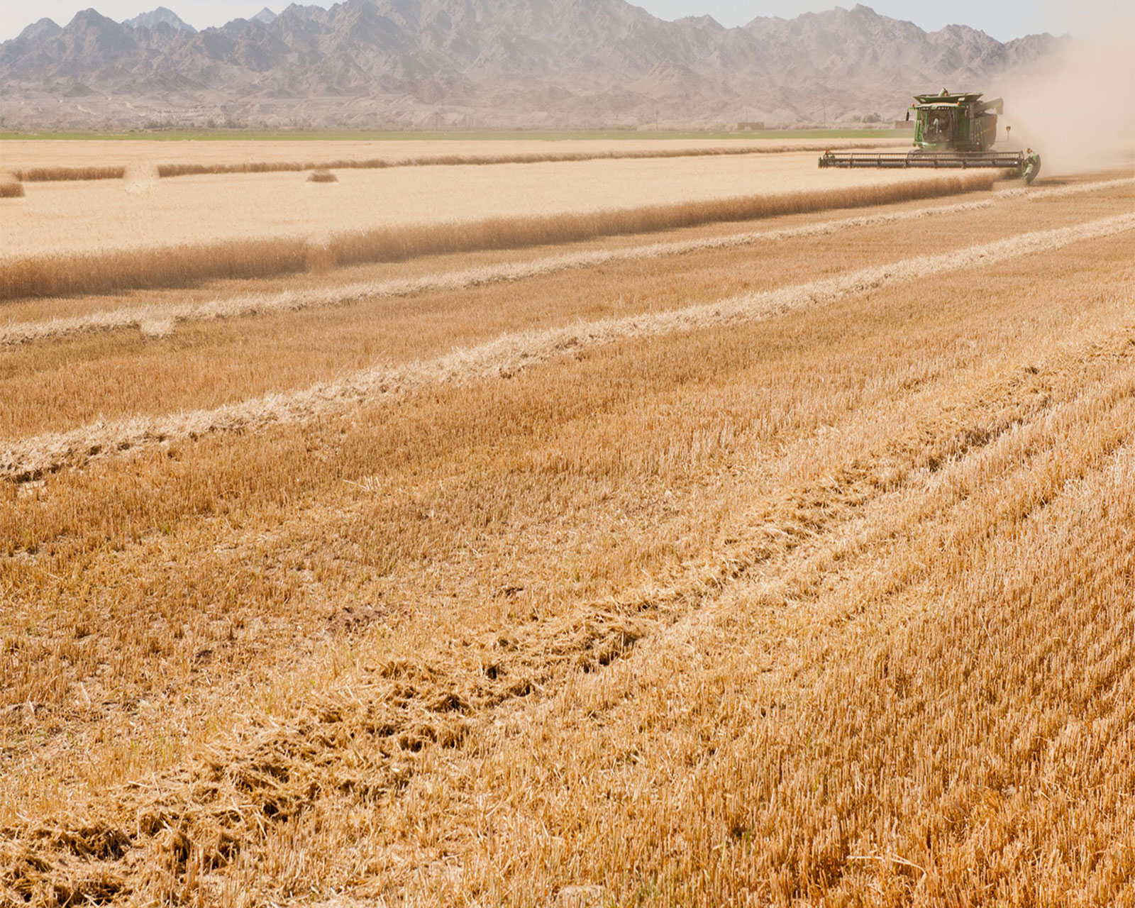 farming in Colorado