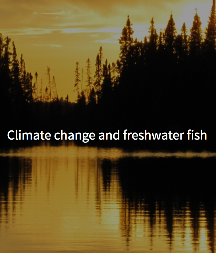Shifts in fish habitat under climate change